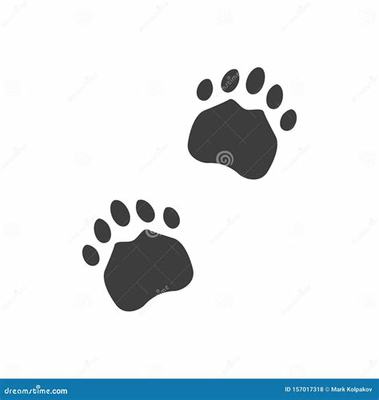 游戏代理加盟与科技项目服务 优质选择与成功策略