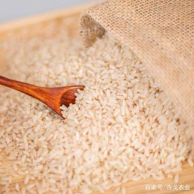 胚芽米 营养与科技的融合之道