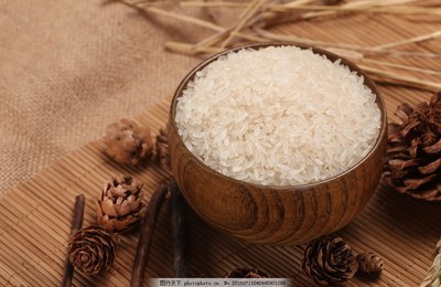 大米科技项目代理服务 推动农业现代化的创新路径